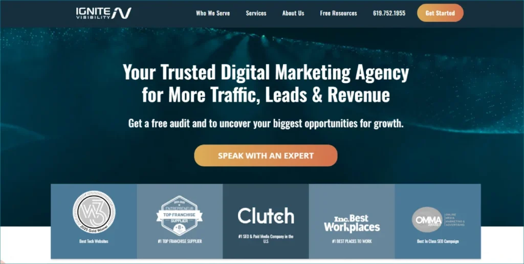 New York SEO company Ignitevisibility